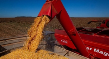 IBGE prevê alta na safra goiana de grãos em 2025